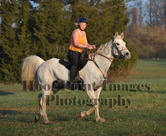 Foxcatcher(4-12-14)0303