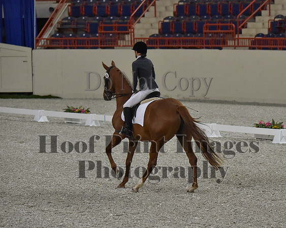 CWdressageII(8-21-16)0101