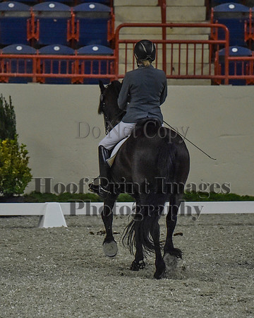 CWdressageII(8-21-16)0211