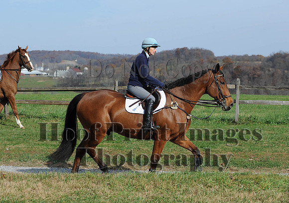 AndrewsBr(11-9-14)0402