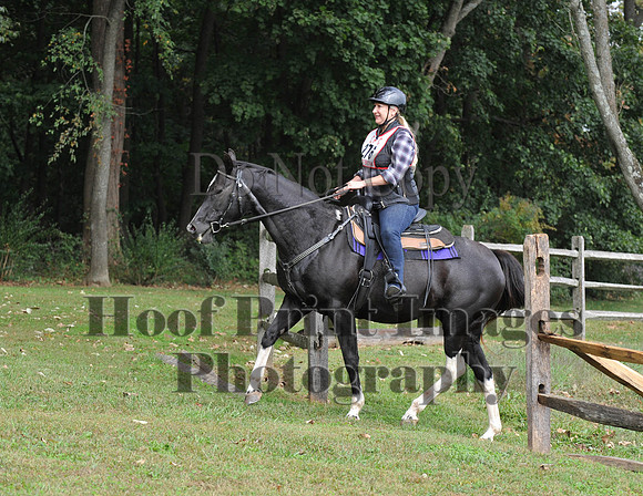 CheshirePC(10-16-16)0392