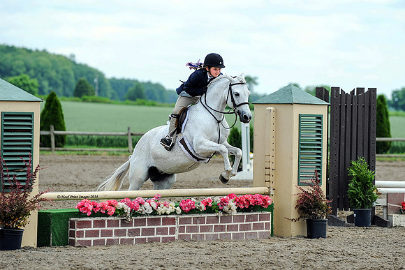 SC(6-28-14)SMPony0091