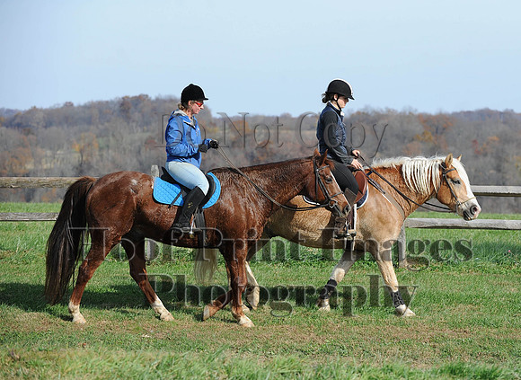 AndrewsBr(11-9-14)0361