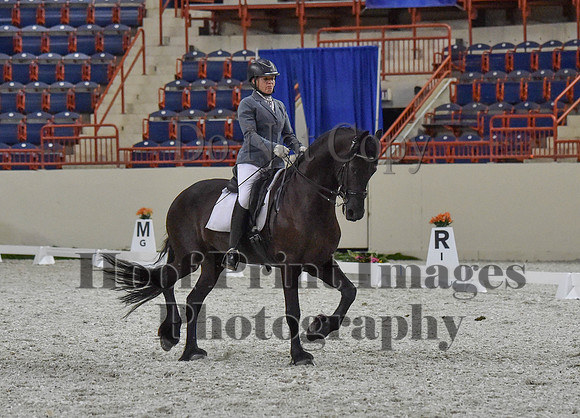 CWdressageI(8-20-16)1215