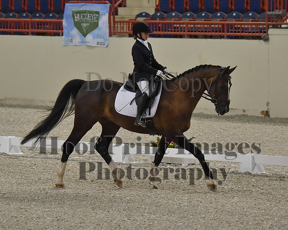 CWdressageII(8-21-16)1456