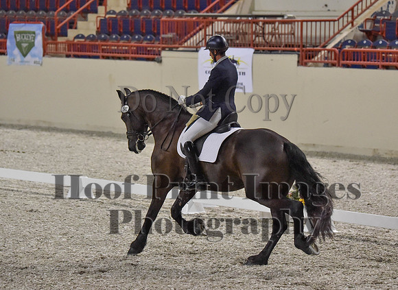 CWdressageI(8-20-16)0303