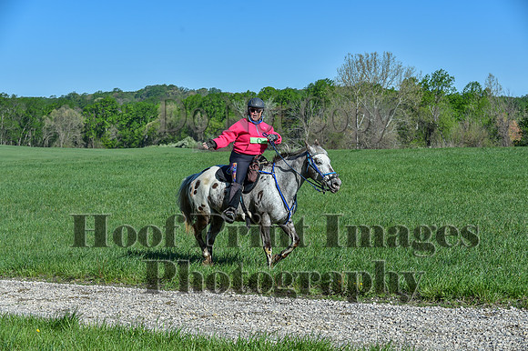 ChesapeakeSpring(4-27-25)0297
