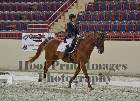 CWdressageI(8-20-16)0788
