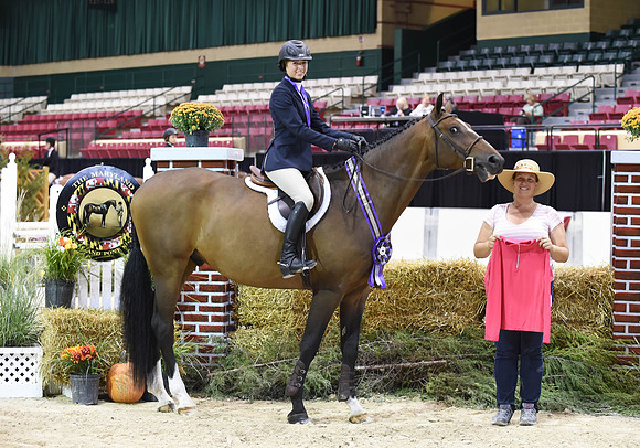 MHSAHtStFinH(9-12-14)0169