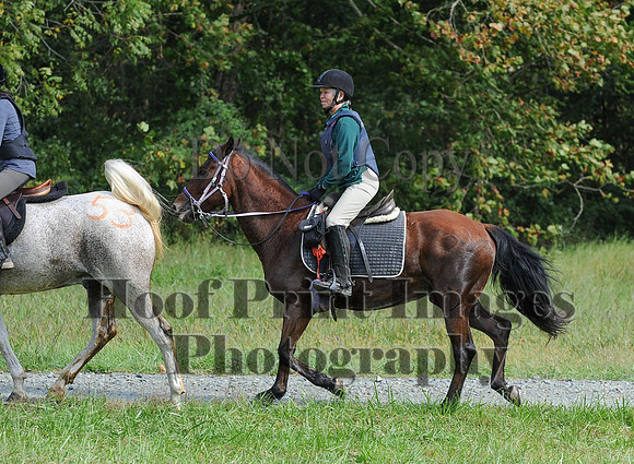 ChesapeakeCTR(9-20-14)0612