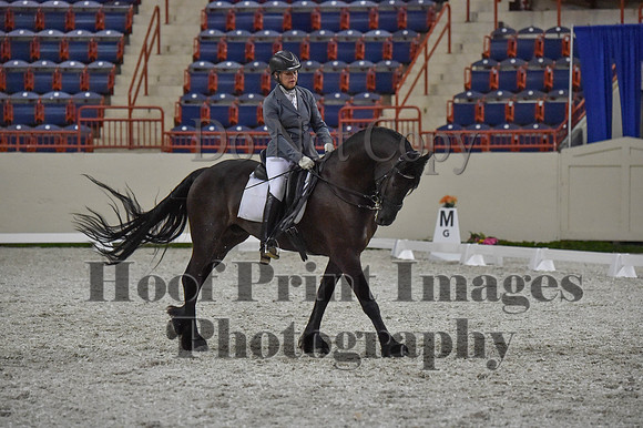 CWdressageI(8-20-16)1232