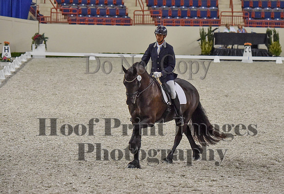 CWdressageI(8-20-16)0300