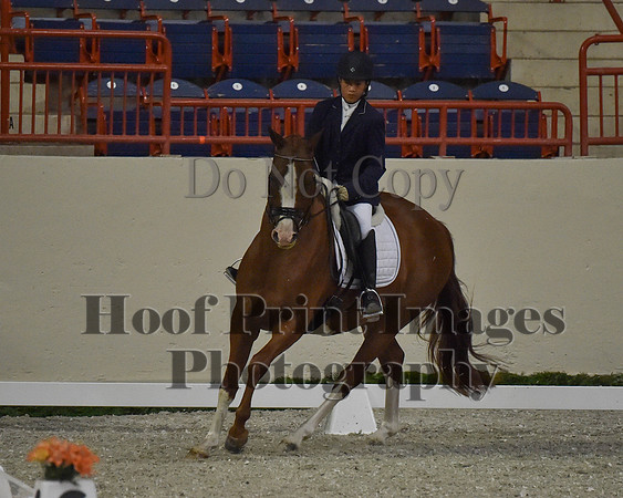 CWdressageII(8-21-16)1190