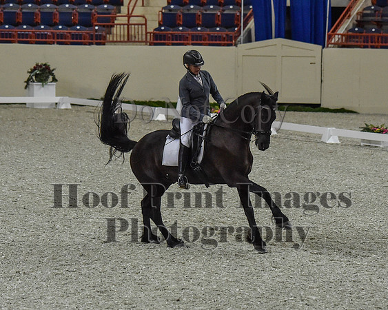 CWdressageII(8-21-16)0200