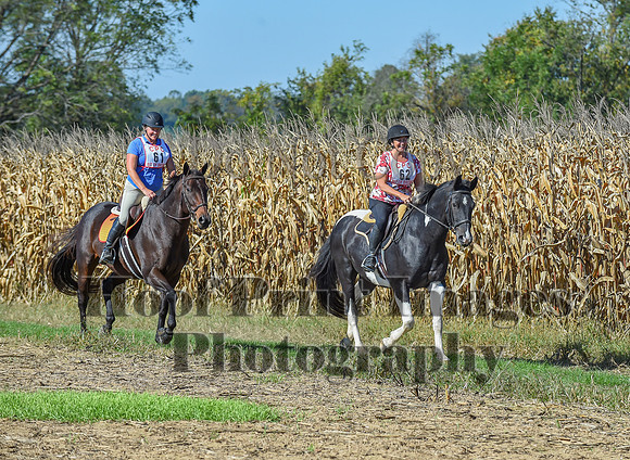 CheshirePonyClubPC(10-6-24)0216