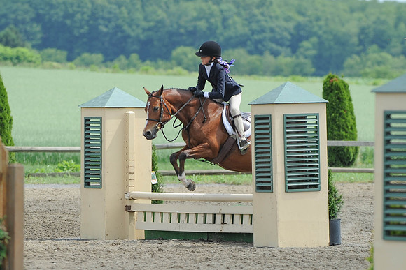 SC(6-28-14)SMPony0080