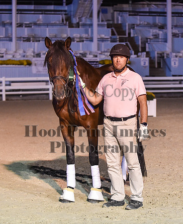 DAD(9-25-19)USA0053