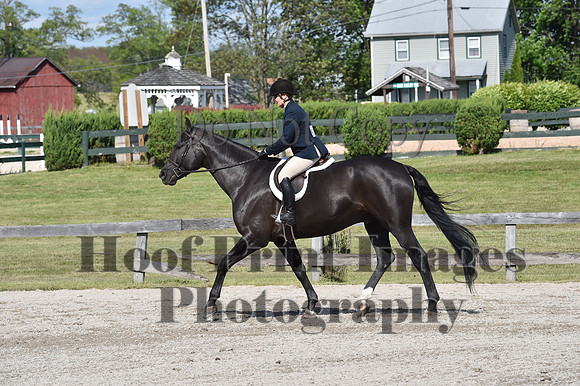 StCSun(5-15-16)PrAd0184