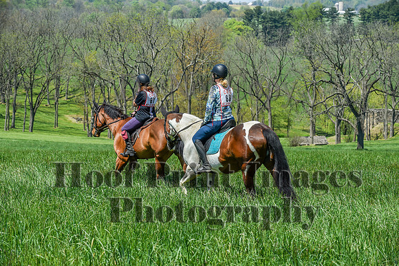 CheshireSpringPC1(4-28-24)0514