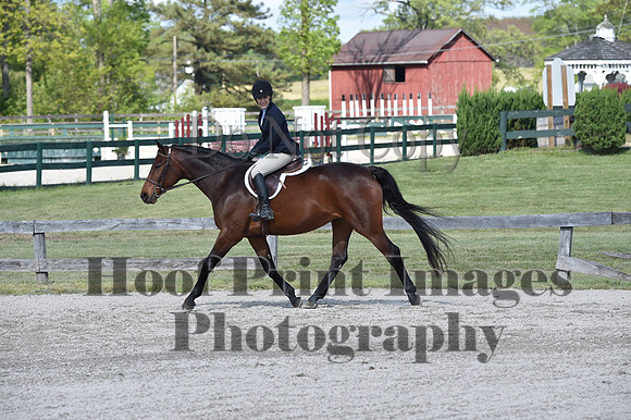 StCSun(5-15-16)PrAd0189
