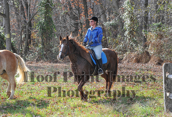 AndrewsBr(11-9-14)0566