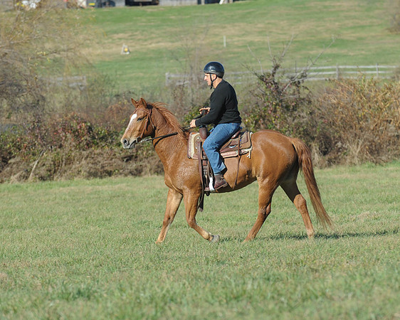 BHPC(11-15-15)0633