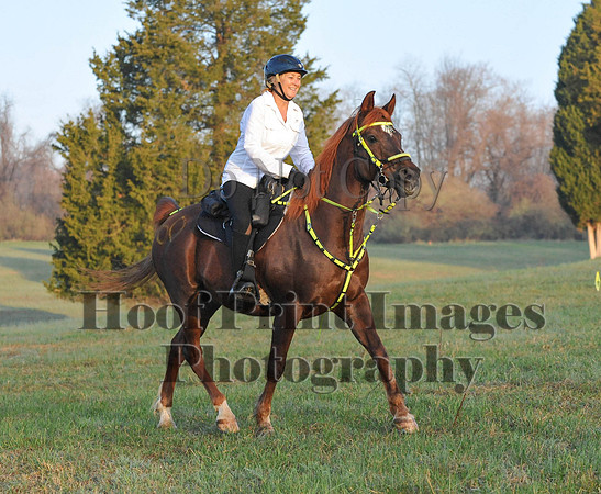 Foxcatcher(4-12-14)0207