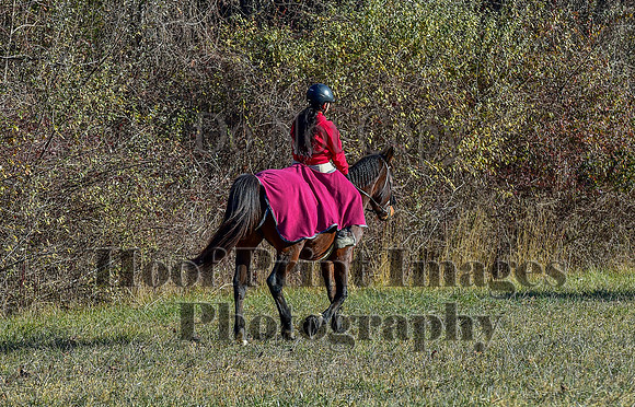 FairHillFallPC(11-30-24)0085
