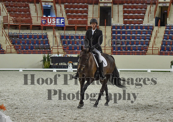 CWdressageI(8-20-16)1239