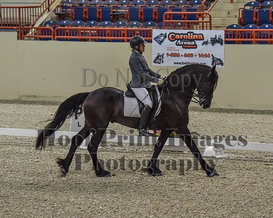 CWdressageII(8-21-16)0205