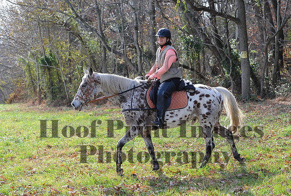 AndrewsBr(11-9-14)0548