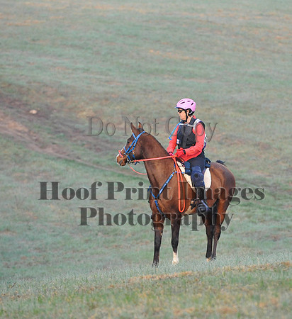 Foxcatcher(4-12-14)0175