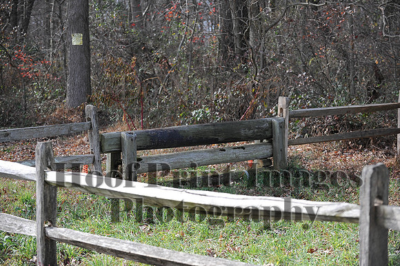 AndrewsBr(11-9-14)0537