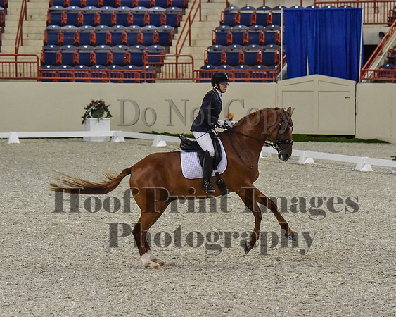 CWdressageII(8-21-16)0257