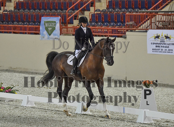 CWdressageI(8-20-16)0190