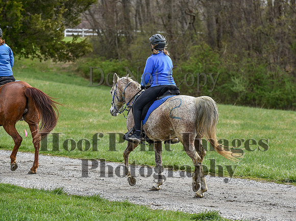 ChesapeakeSpring(4-10-22)0581