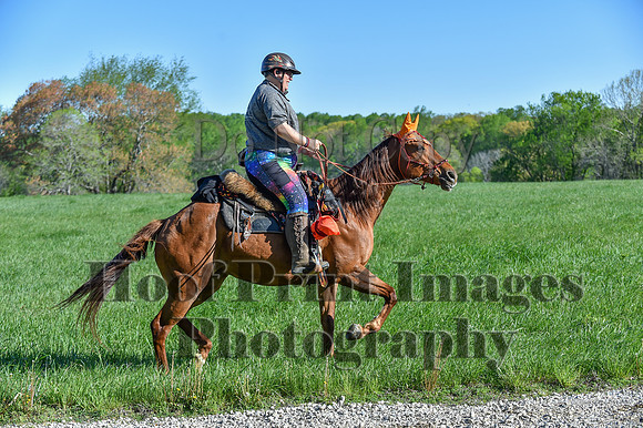 ChesapeakeSpring(4-27-25)0359