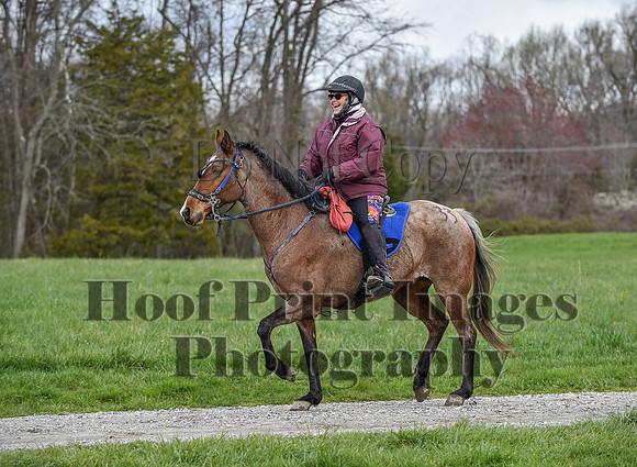 ChesapeakeSpring(4-10-22)0587