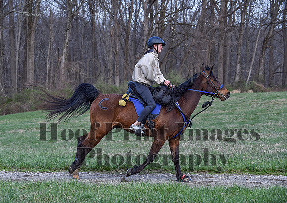 ChesapeakeSpring(4-10-22)0329