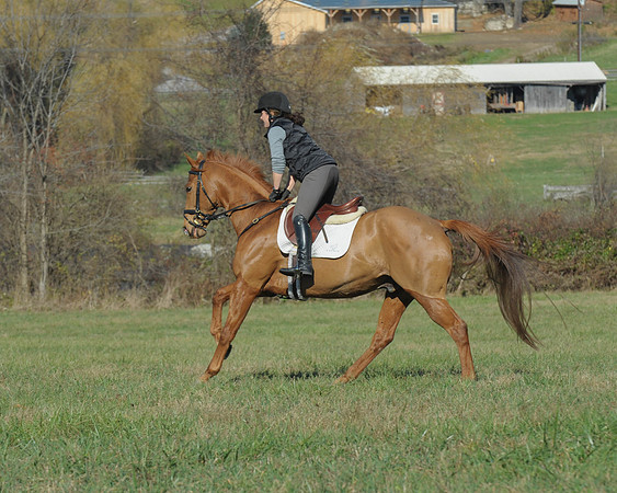 BHPC(11-15-15)0207