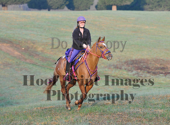 Foxcatcher(4-12-14)0320