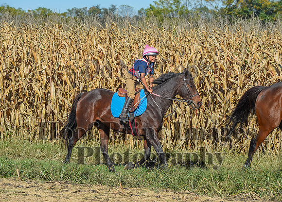 CheshirePonyClubPC(10-6-24)0051
