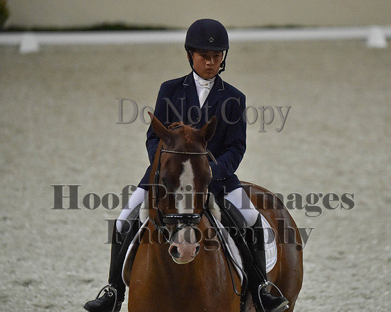 CWdressageII(8-21-16)1988