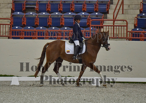 CWdressageI(8-20-16)0140