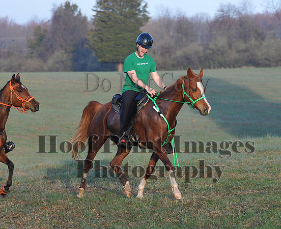 Foxcatcher(4-12-14)0338