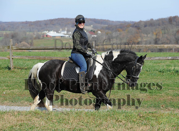 AndrewsBr(11-9-14)0610