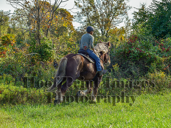Born2Ride(10-13-24)0059