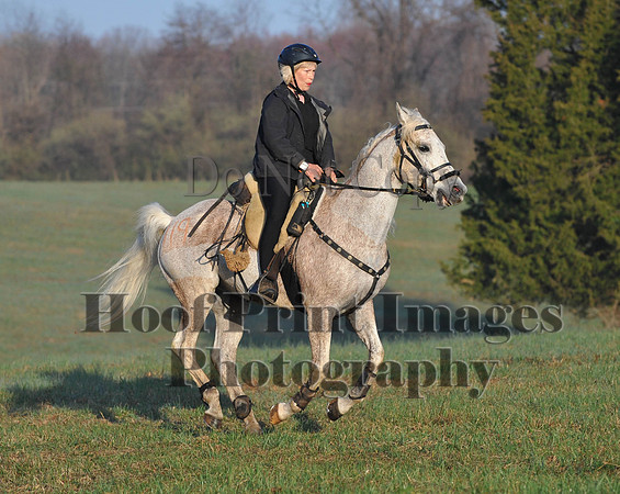 Foxcatcher(4-12-14)0507