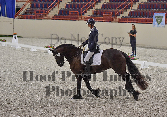 CWdressageI(8-20-16)0296
