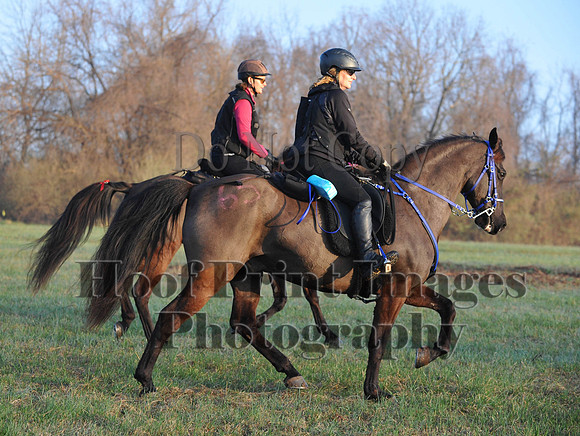 Foxcatcher(4-12-14)0267